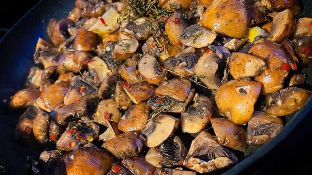 Mushroom-ajillo